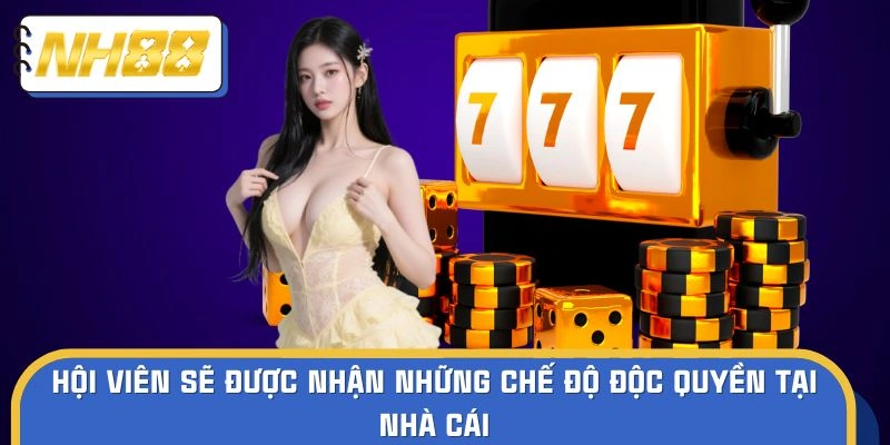 Hội viên sẽ được nhận những chế độ độc quyền tại nhà cái