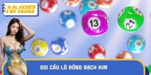 Soi Cầu Lô Rồng Bạch Kim Chuẩn Nhất Được Cập Nhật Năm 2025